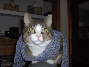 Lola with mesh scarf